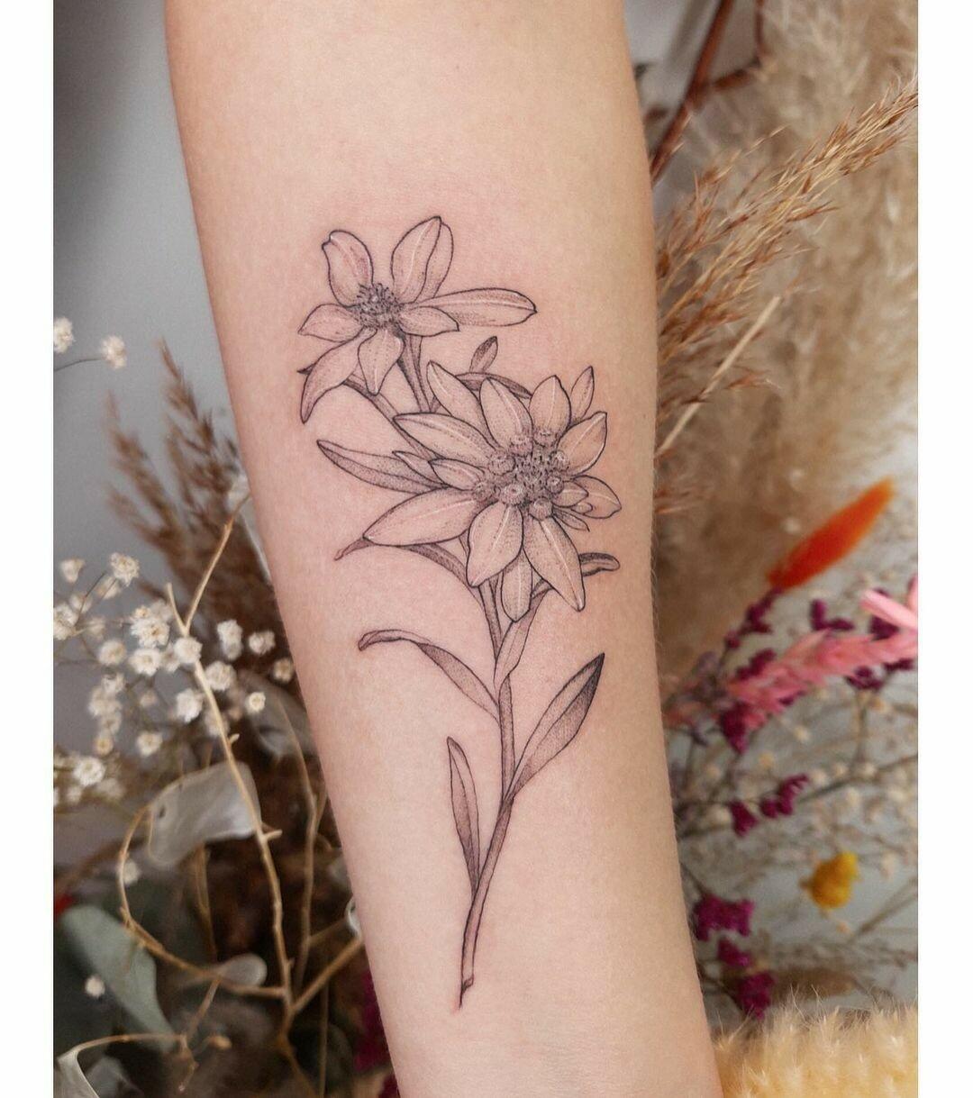 Inksearch tattoo Marta Chojnacka