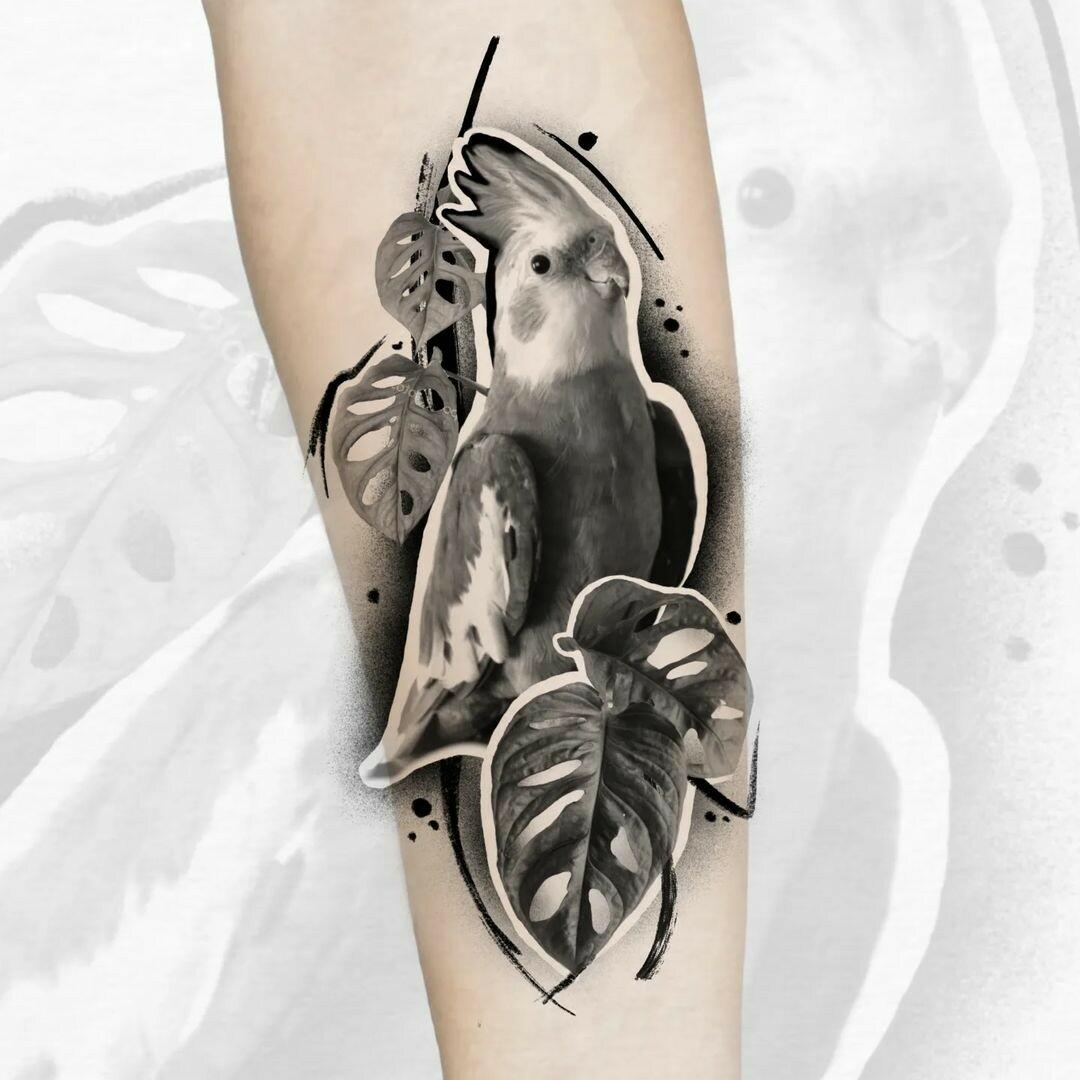 Inksearch tattoo myszata tattoo