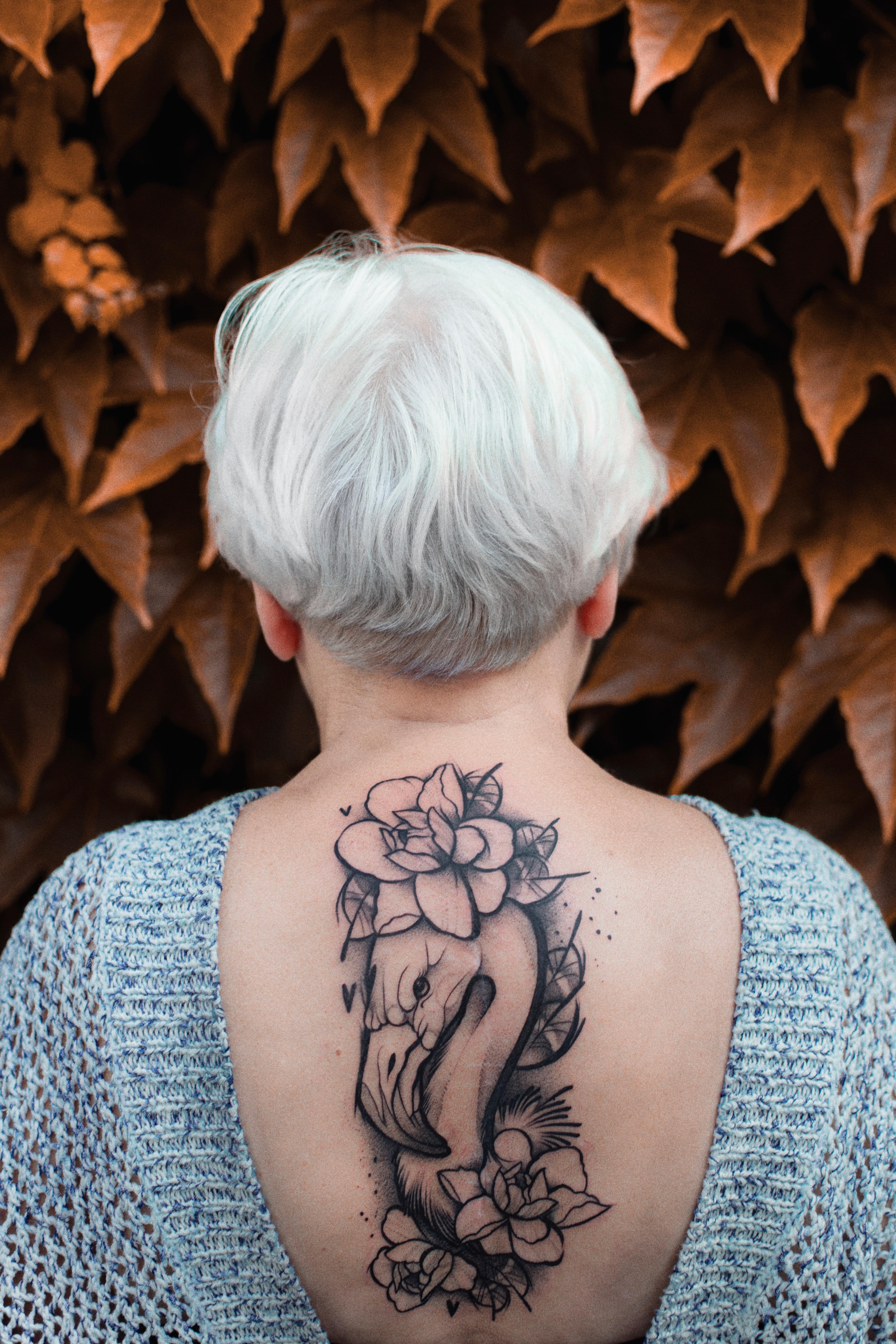Inksearch tattoo fatkat.pl