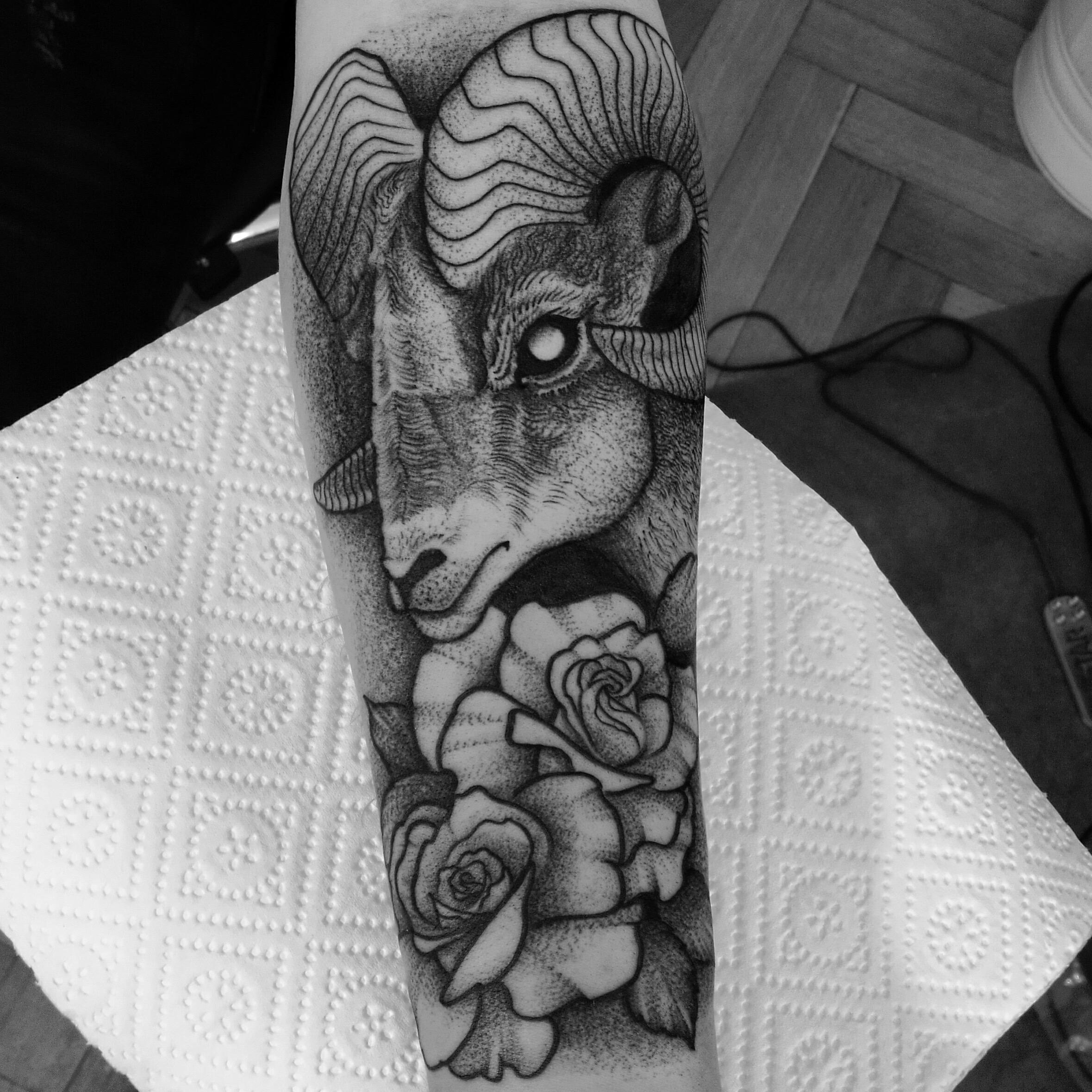 Inksearch tattoo Karol Sutura