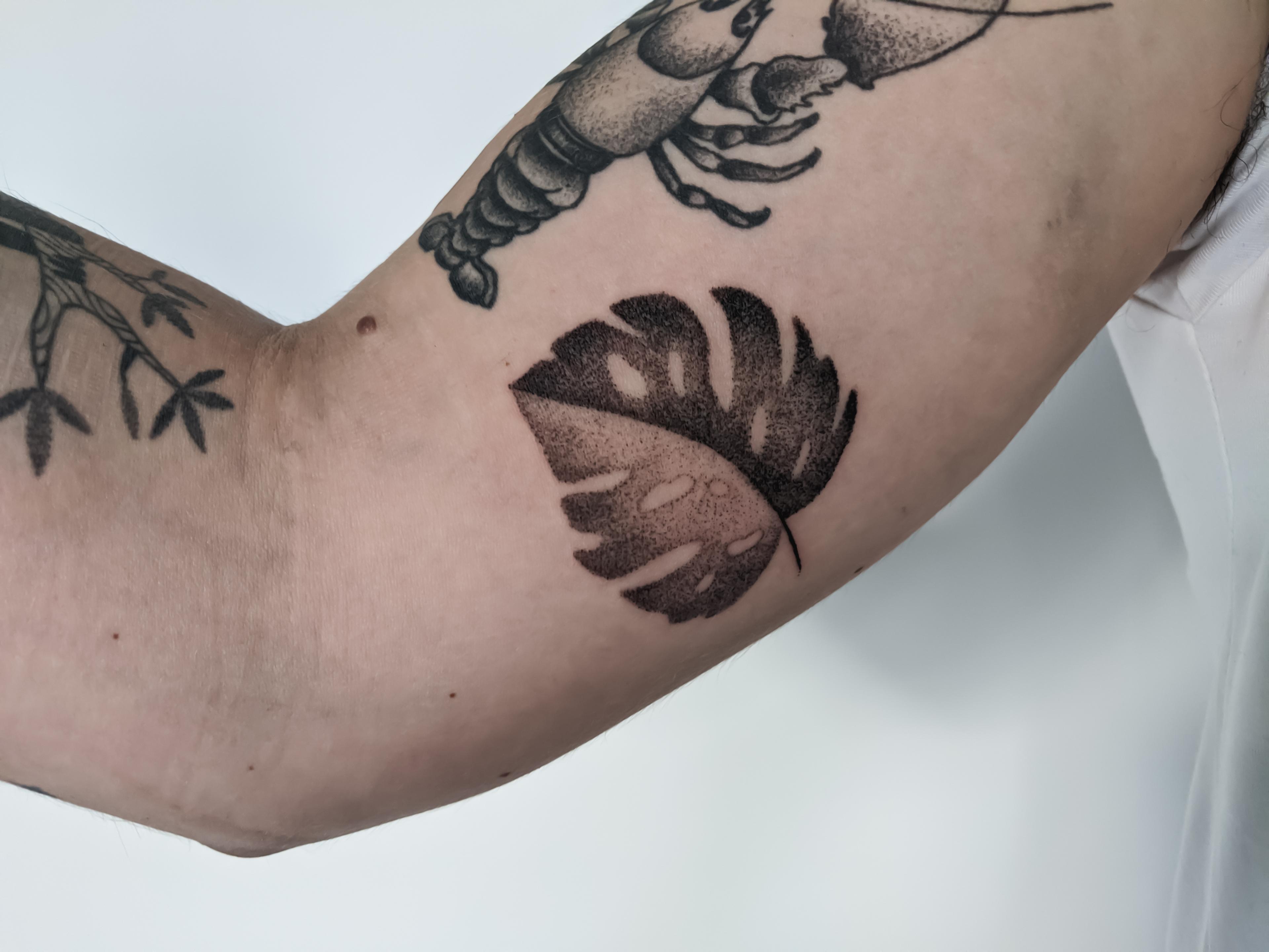 Inksearch tattoo jedrzejloga