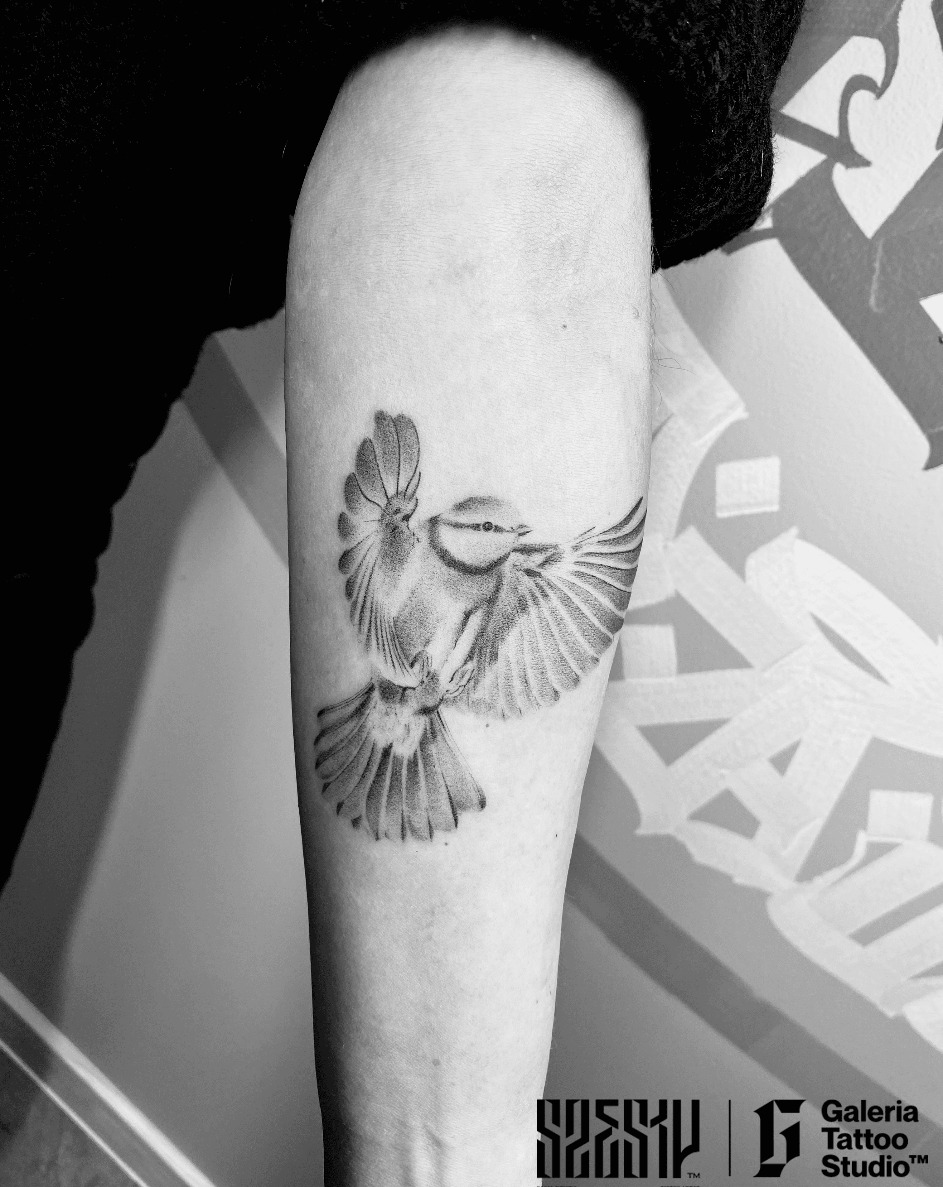 Inksearch tattoo Szesty