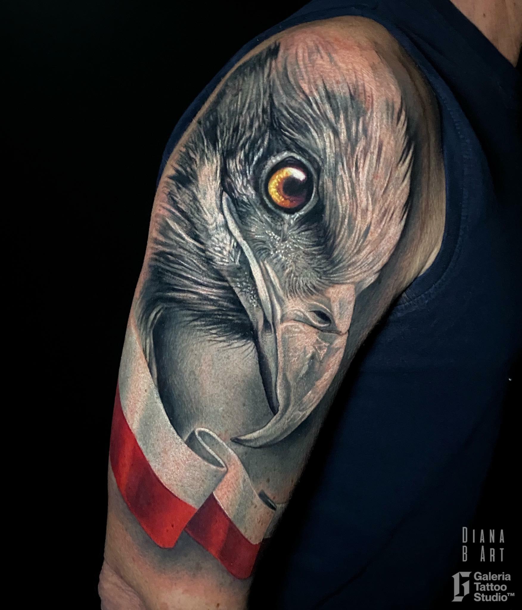 Inksearch tattoo Galeria Tattoo Studio