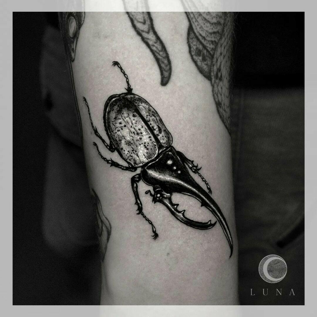 Inksearch tattoo luna tattoo