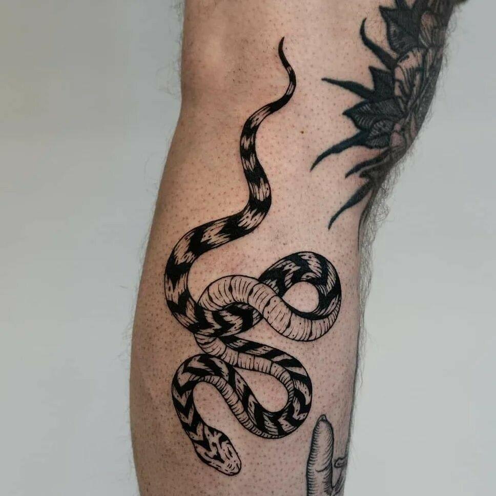 Inksearch tattoo Patogen Tattoo