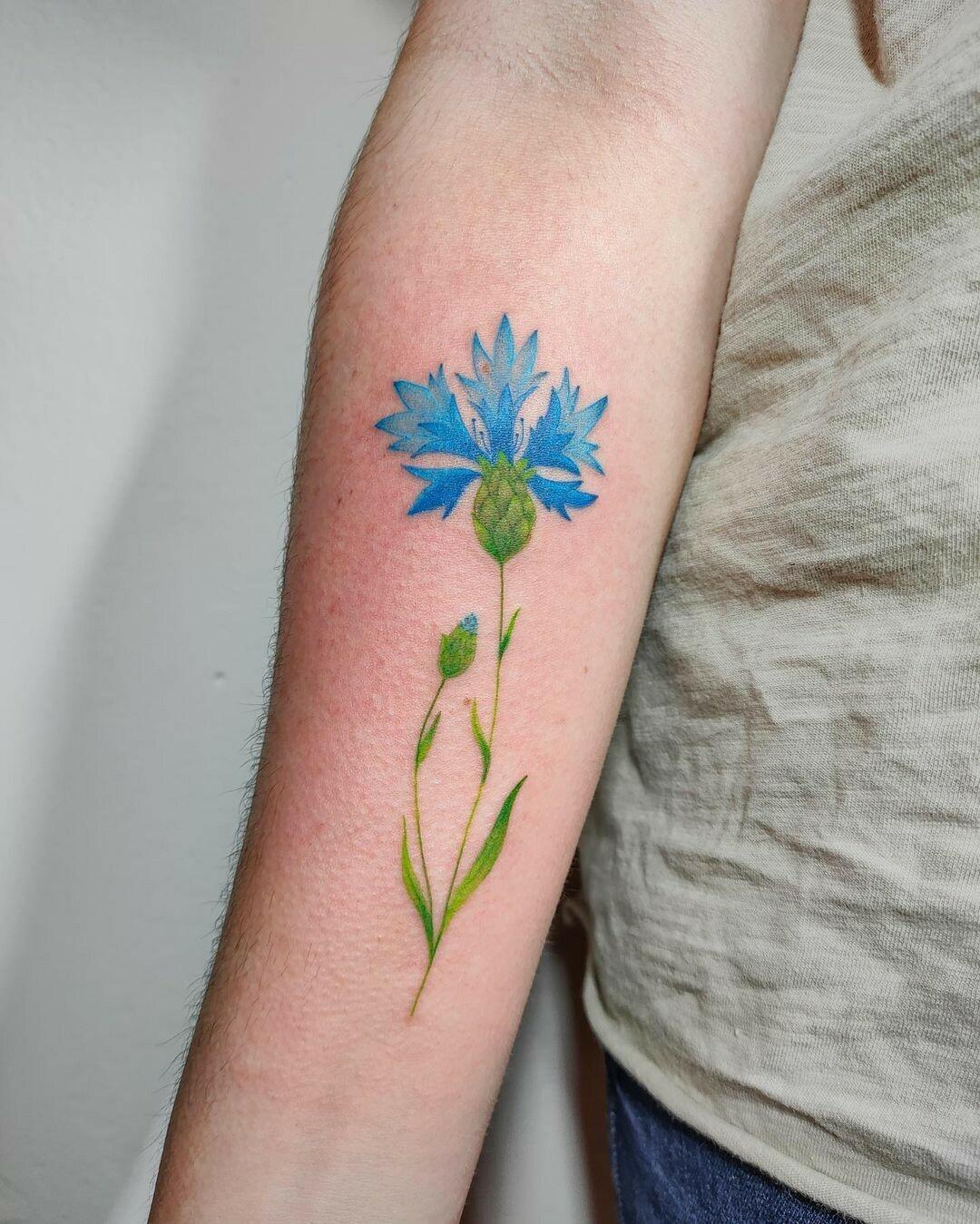 Inksearch tattoo kaczmi.tattoo