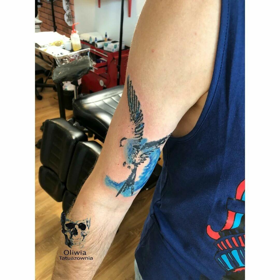 Inksearch tattoo Tatuażownia