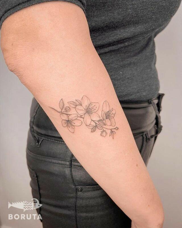 Inksearch tattoo Boruta Tattoo & Art Collective