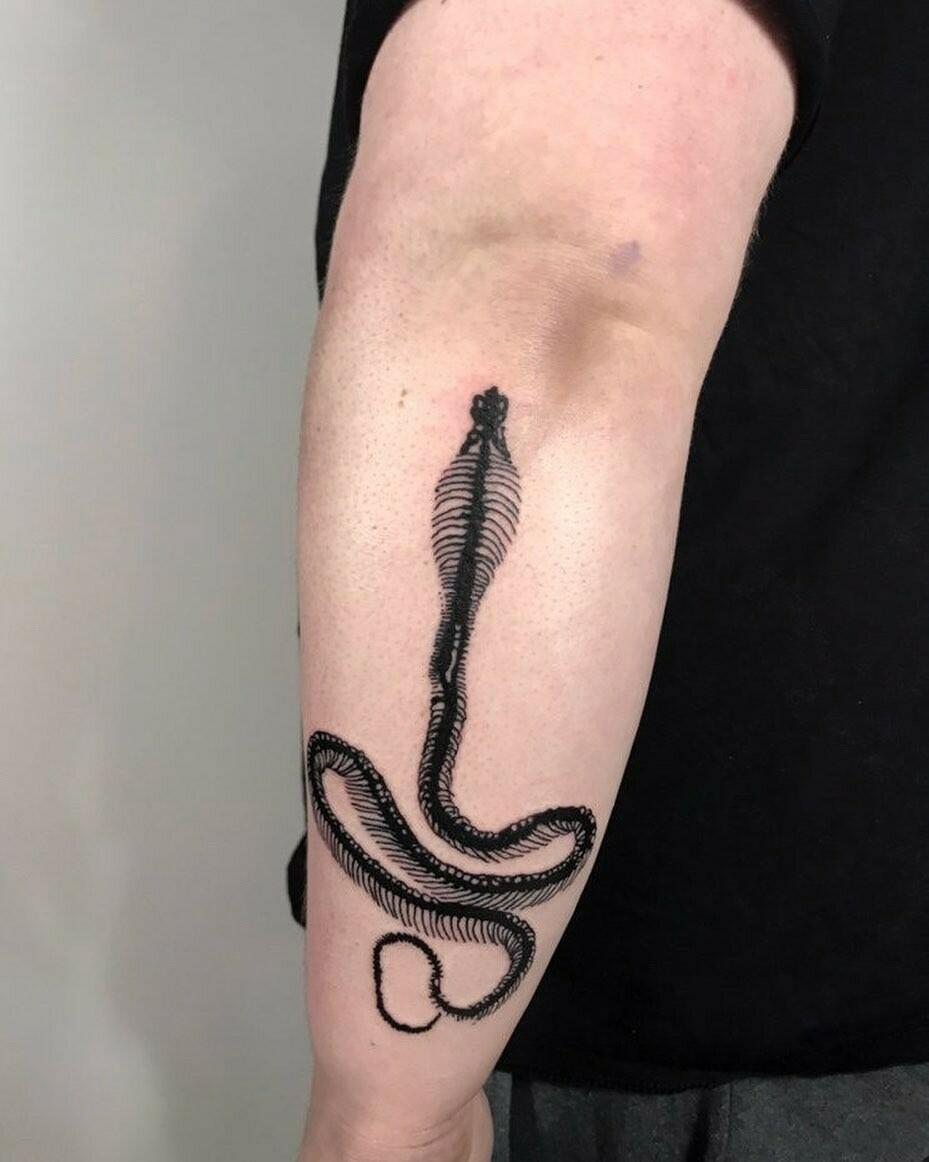 Inksearch tattoo Black Cats Tattoo