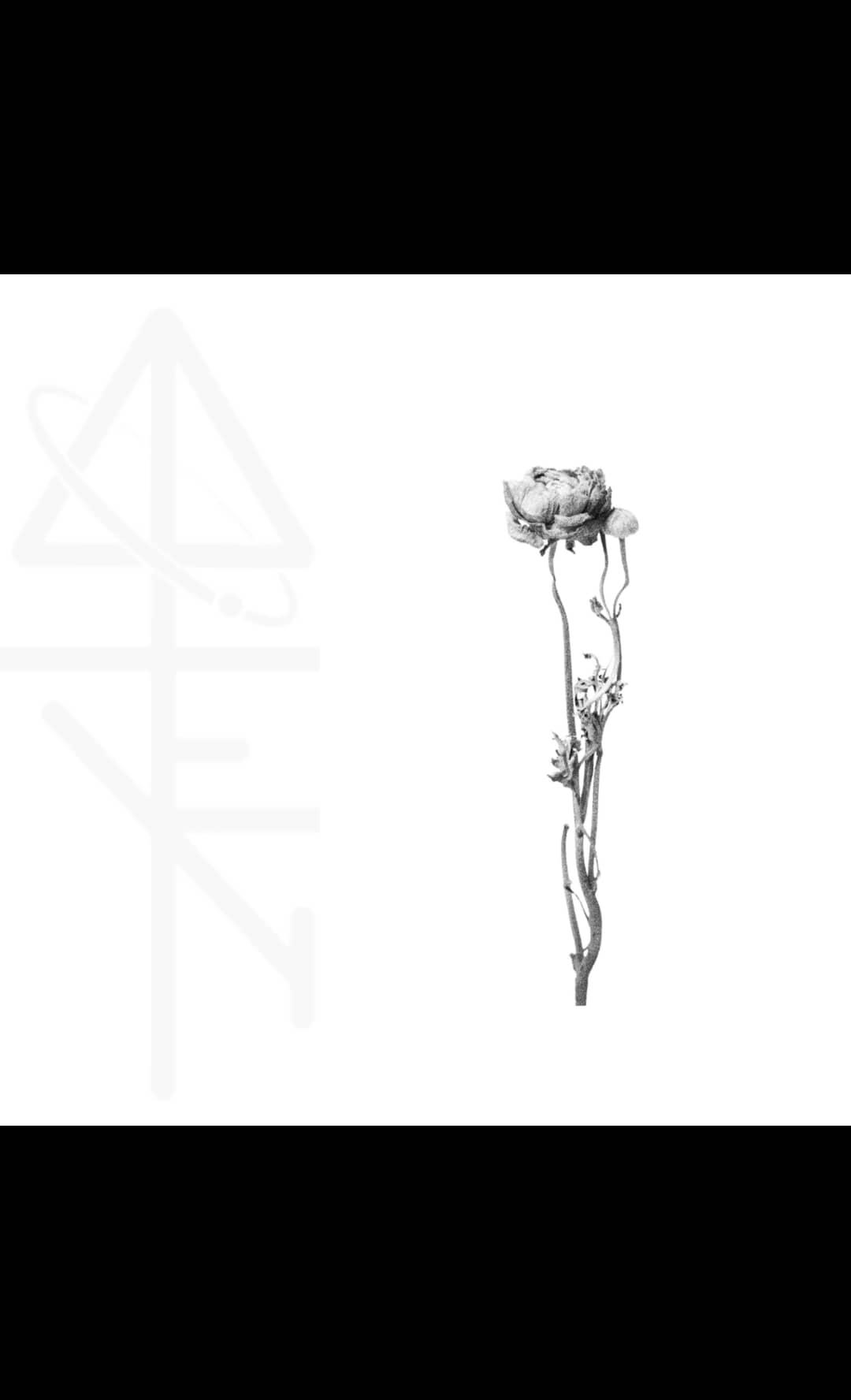 Inksearch tattoo Ally Alien