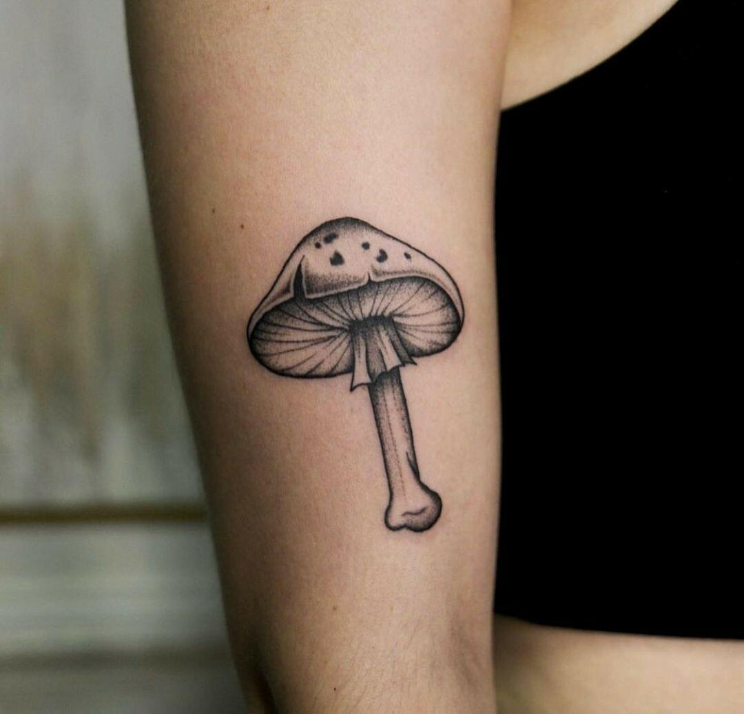 Inksearch tattoo Zajawa Kraków