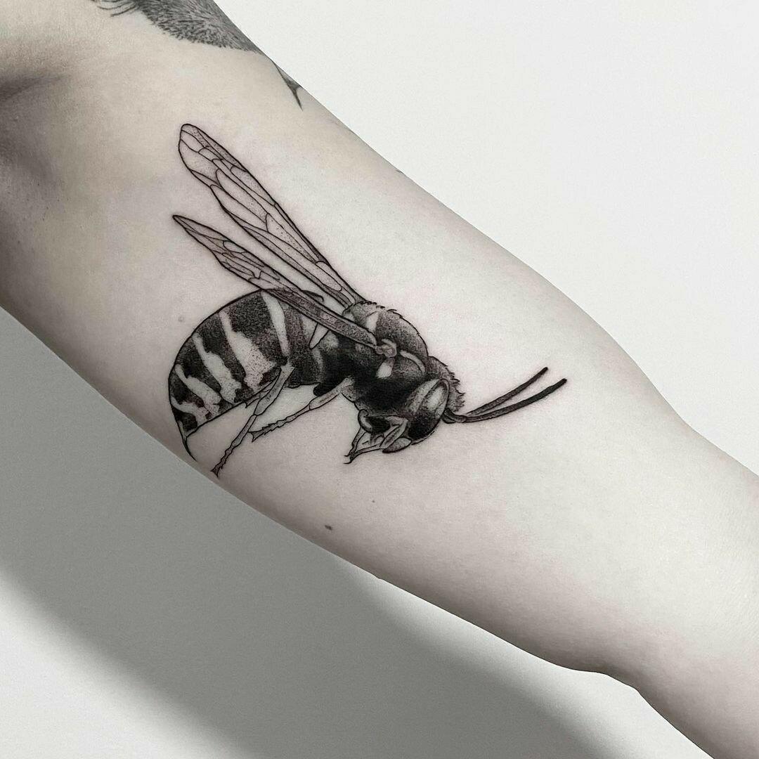 Inksearch tattoo Karol Sutura