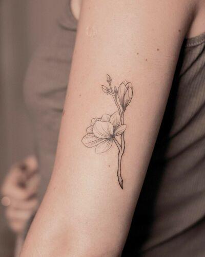 Mycki.Ink inksearch tattoo
