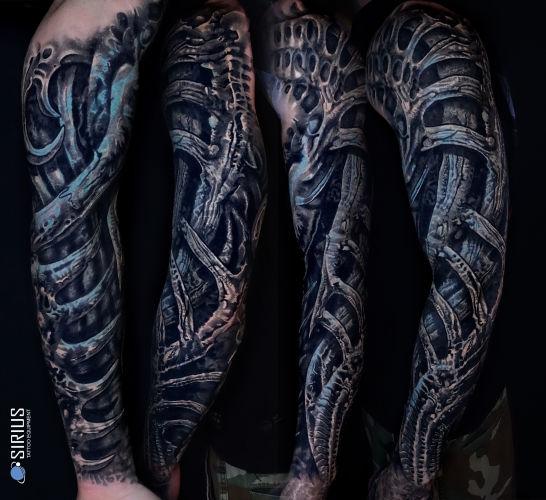 Marcin Polak - Insekt inksearch tattoo