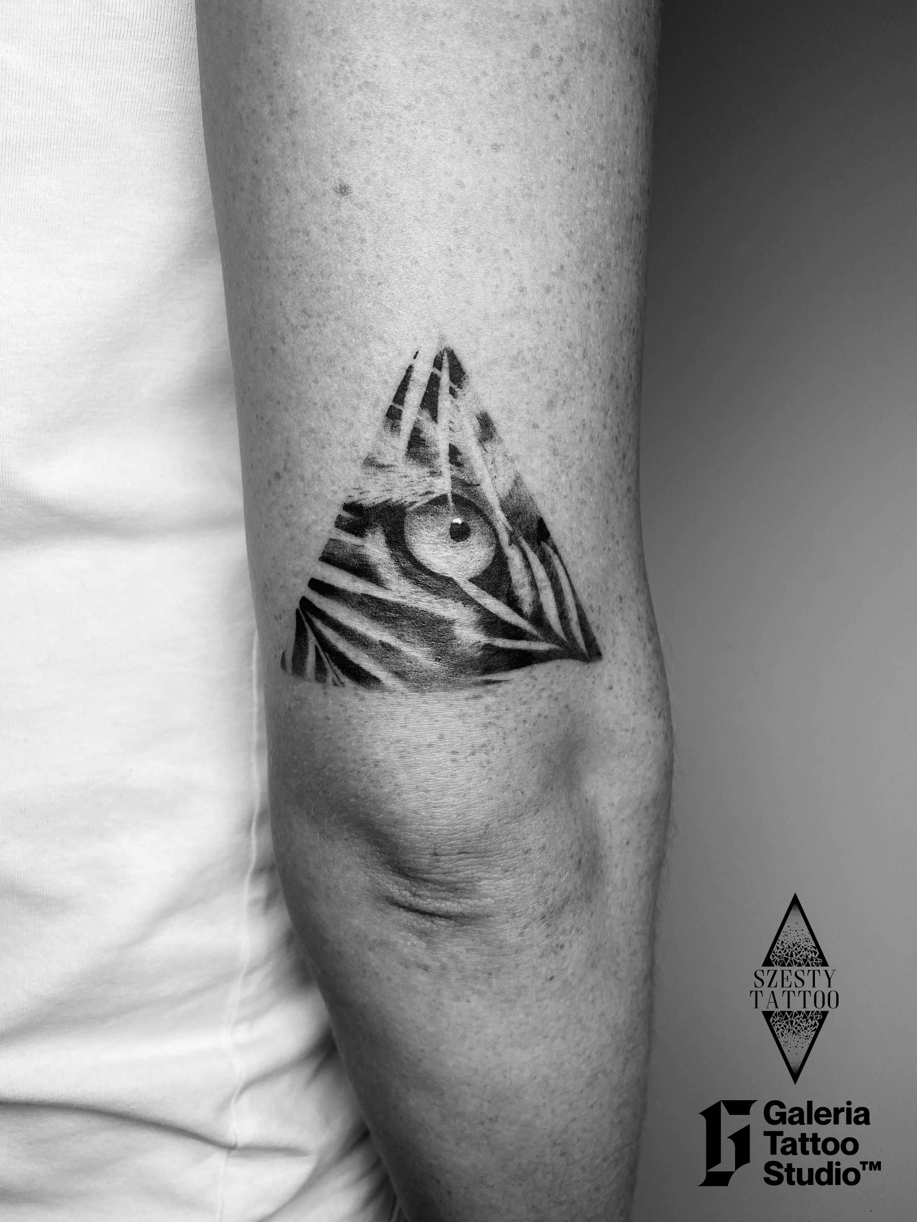 Inksearch tattoo Galeria Tattoo Studio